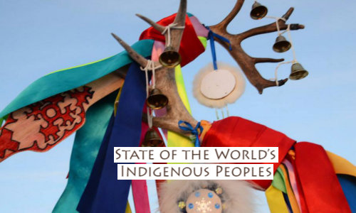 The Sustainable Development Goals (SDGs) refer explicitly to indigenous people in two places (Goal 2 and Goal 4), but to meet the SDGs commitment to leave no one behind, data are needed that go beyond tracking gender and age to identify all vulnerable groups, including indigenous peoples.