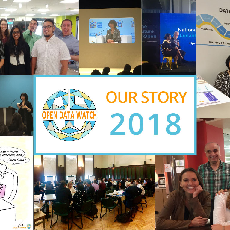 2018 was a productive and busy year at Open Data Watch. We launched reports, created new partnerships while strengthening old ones, traveled the world as a champion for open data and gender data.