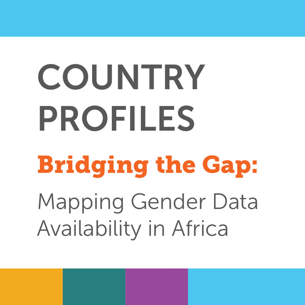 This set of 15 country profiles presents country-specific findings from Bridging the Gap: Mapping Gender Data Availability in Africa that examines the availability and quality of data for 104 gender-relevant indicators across six key domains: health, education, economic empowerment, political participation, human security, and environment.