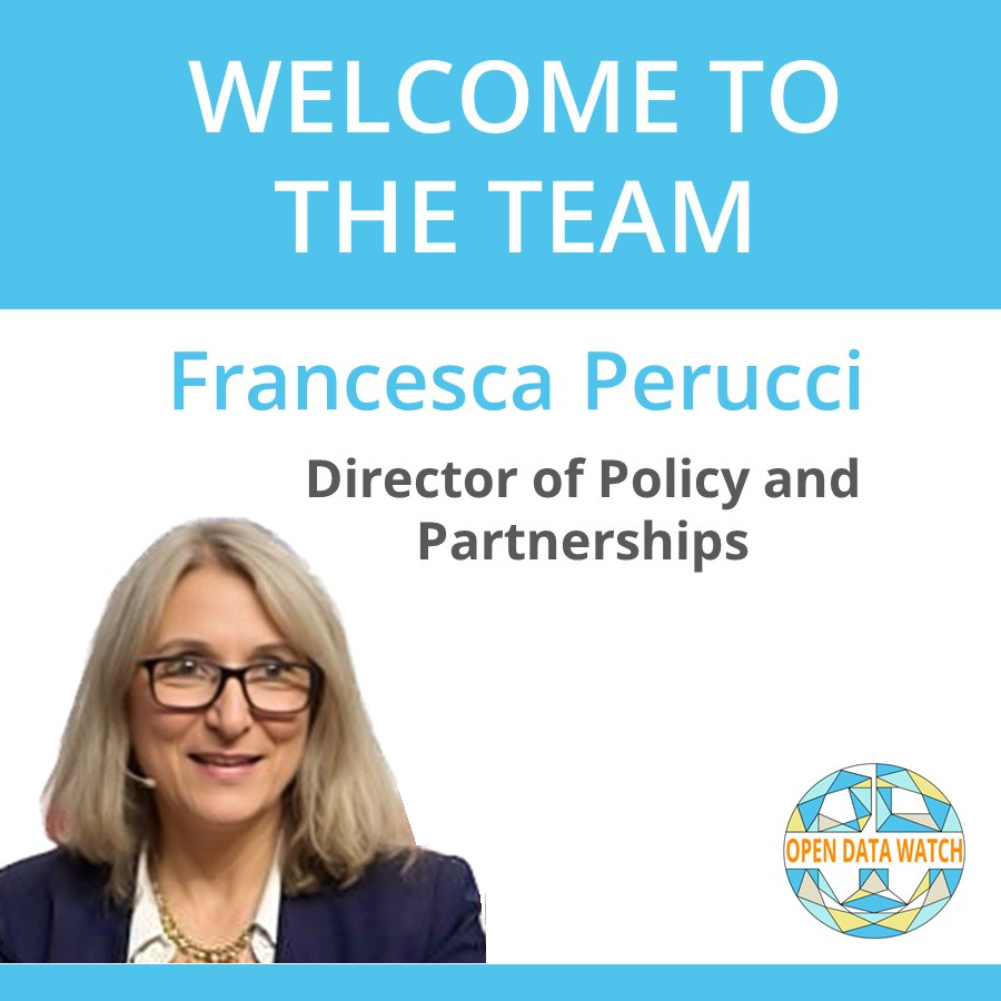 Open Data Watch (ODW) is thrilled to announce the newest member of our team, Francesca Perucci, an expert in the field of development data and the advancement of global data initiatives.