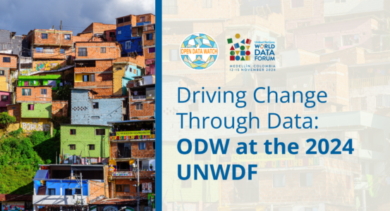 2024-UNWDF-Data-Drives Change-socialmedia