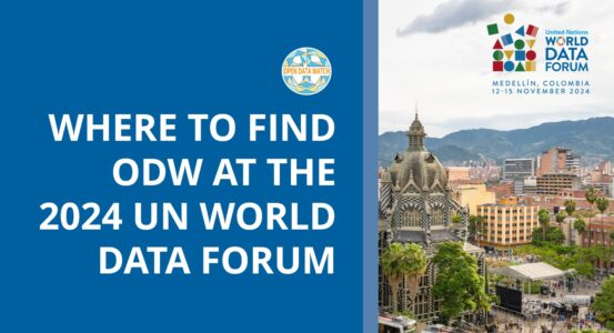 ODW-at-UNWDF-2024-socialmedia