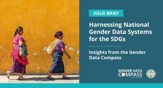 Compass-SDG-HLPF-Issue-Brief-Graphics-socialmedia