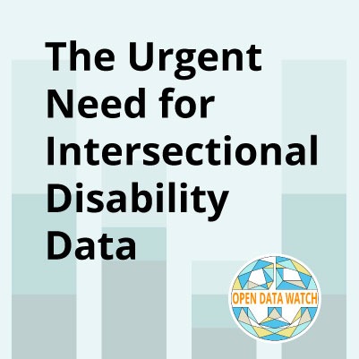 Intersectional disability data reveals how overlapping identities—such as disability, gender, and income—shape lived experiences and expose who is most at risk of being left behind. When communities lead the data process, it can drive more inclusive policies with lasting impact.