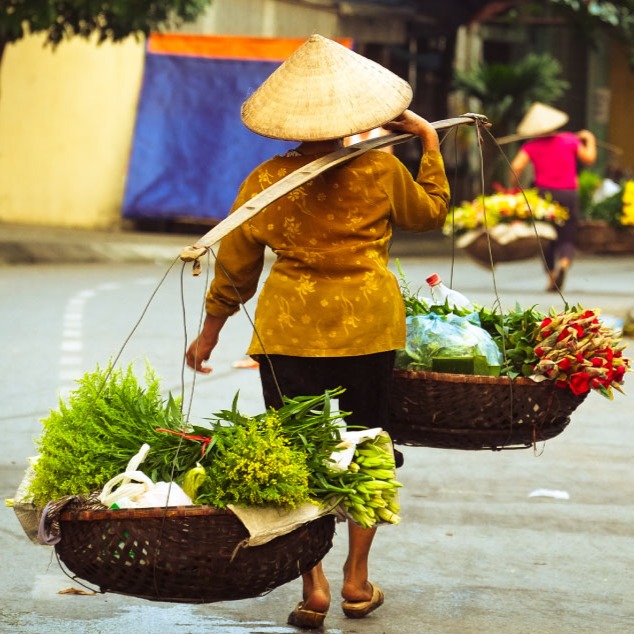 Women wearing a conical “non la” hat selling flowers carried in two large baskets suspended from either end of a long strip of wood carried over a shoulder in the early morning in a small market, Hanoi, Vietnam.