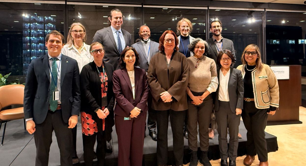 A group of co-organizers and panelists from a UN Statistical Commission side event.
