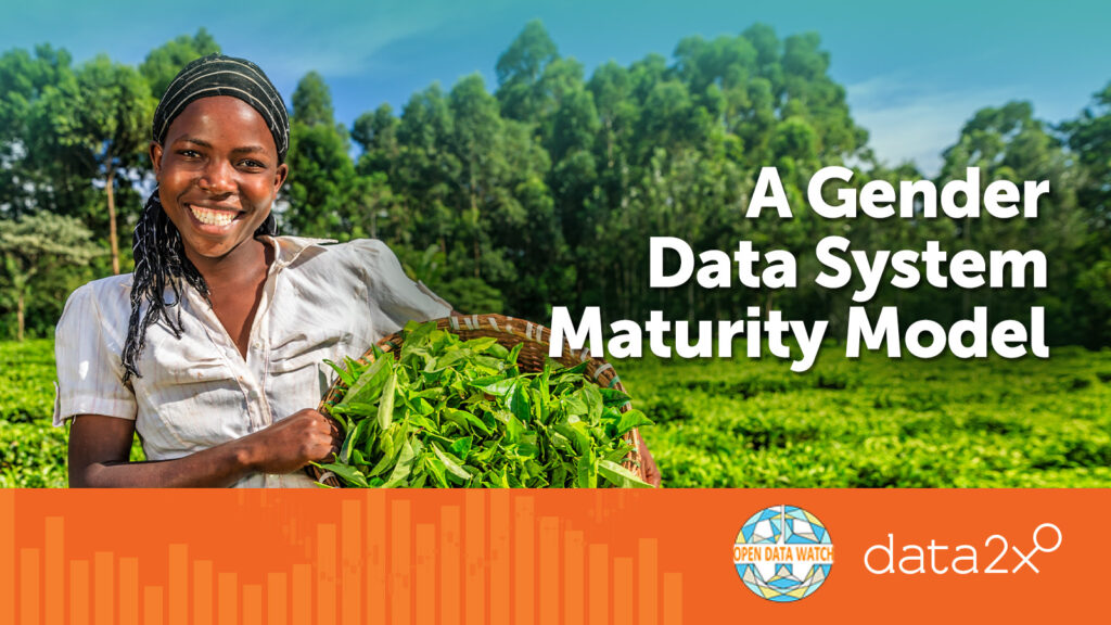 BRIDGE is a new data assessiment tool designed for NSOs and NSS partners to check the maturity of their gender data systems, set priorities for investments, and communicate those priorities to domestic and international sources of financing.